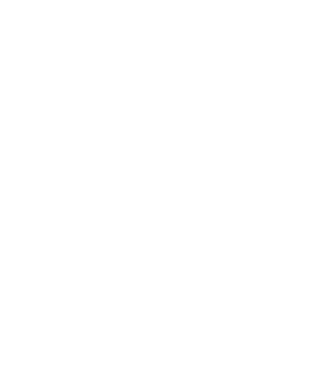 information technology icon