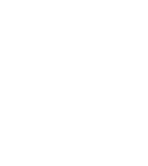 professional services icon